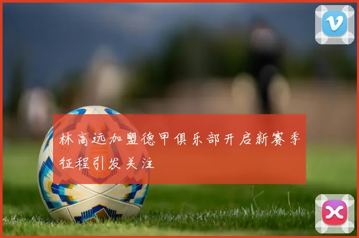 林高远加盟德甲俱乐部开启新赛季征程引发关注