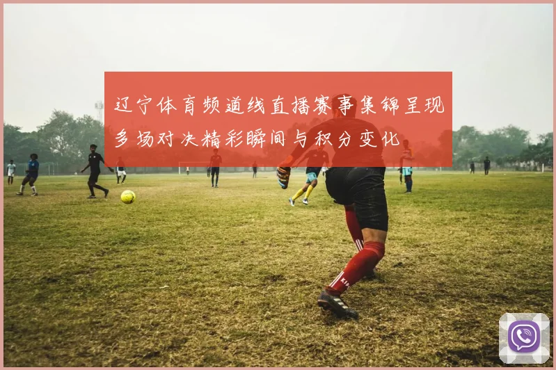 辽宁体育频道线直播赛事集锦呈现多场对决精彩瞬间与积分变化