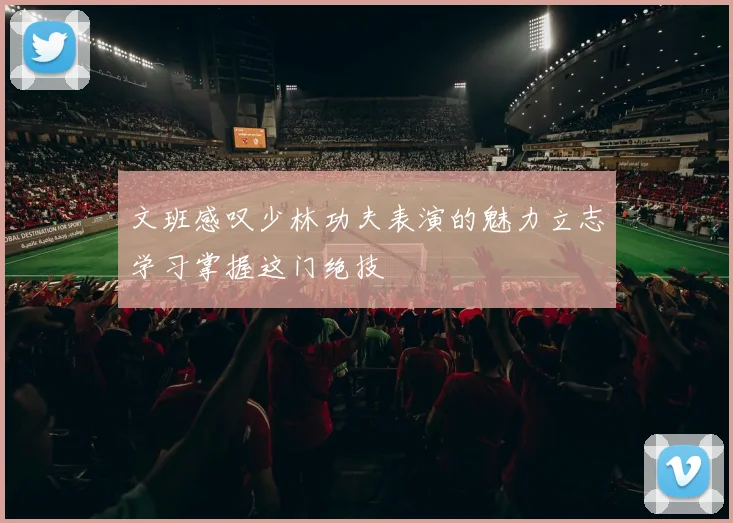 文班感叹少林功夫表演的魅力立志学习掌握这门绝技